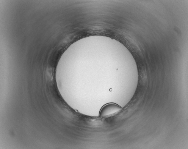 X0000115050232200911161554