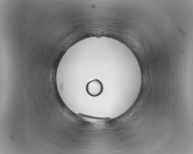 X0000115050233200911161554