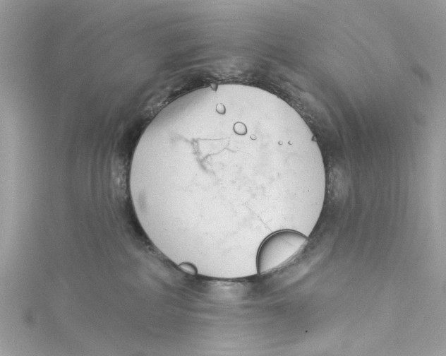 X0000115050234200911161554