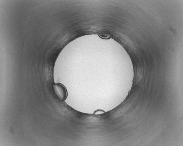 X0000115050236200911161554