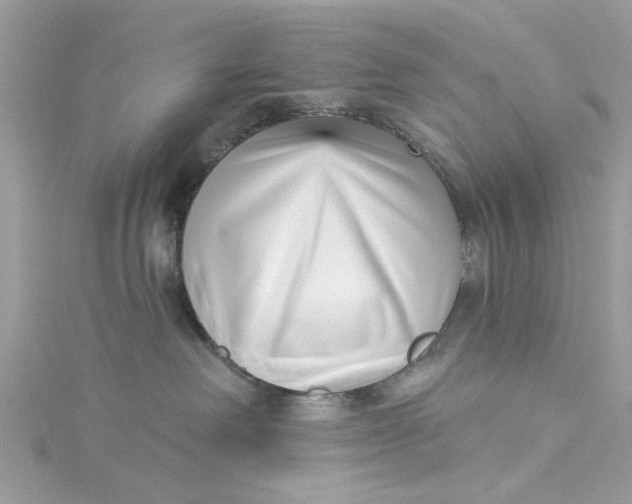 X0000115050238200911161554