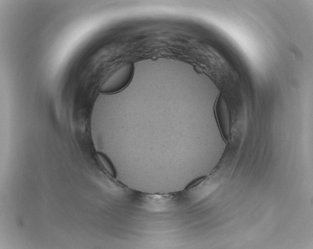 X0000115050239200911161554