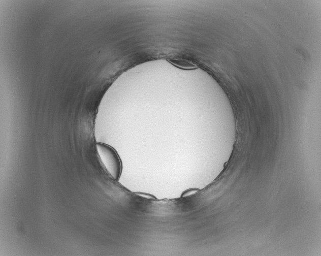 X0000115050240200911161554