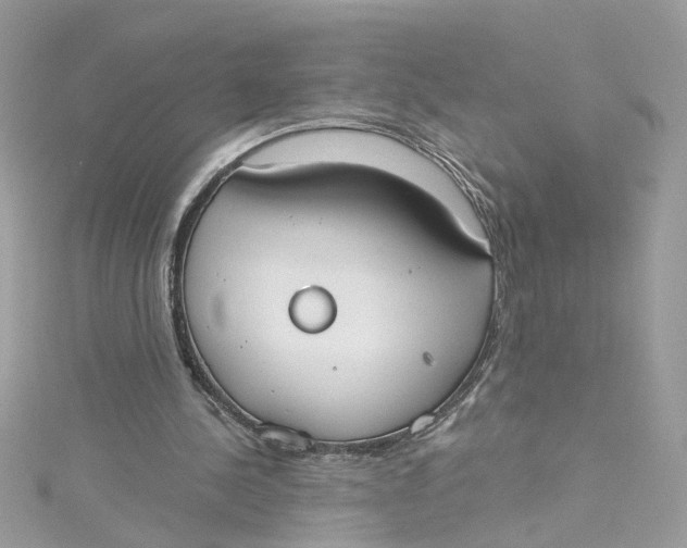 X0000115050244200911161553