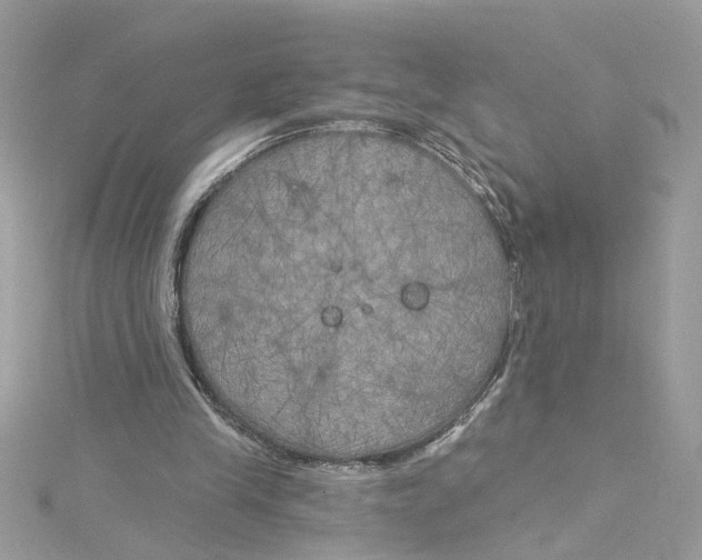 X0000115050245200911161553