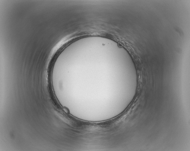 X0000115050246200911161553