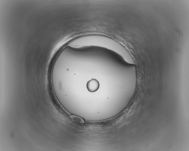 X0000115050248200911161553