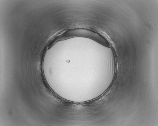 X0000115050249200911161553