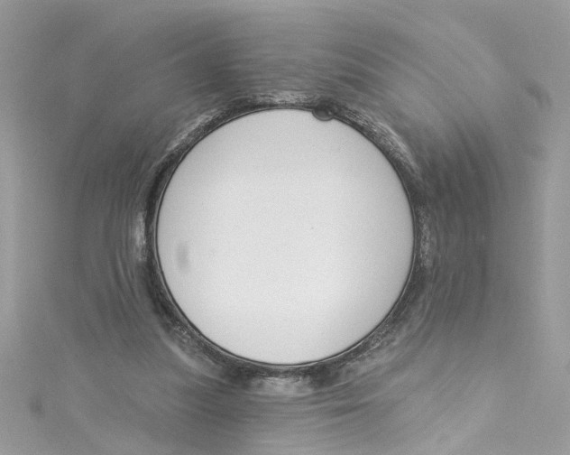 X0000115050251200911161553