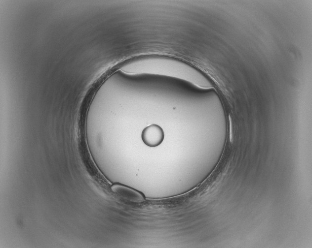 X0000115050252200911161553