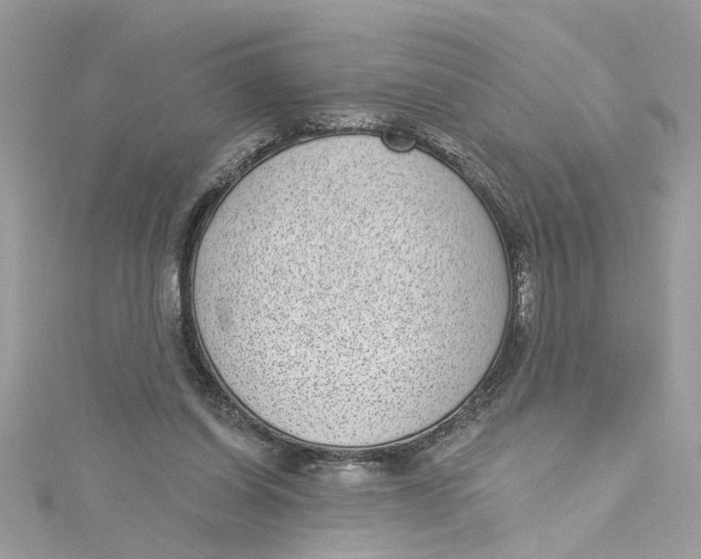 X0000115050254200911161553