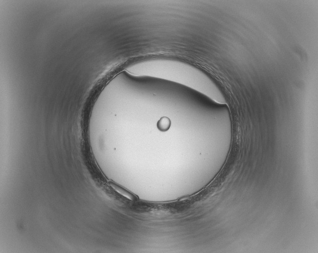 X0000115050256200911161554