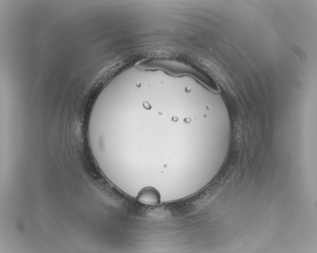 X0000115050258200911161554