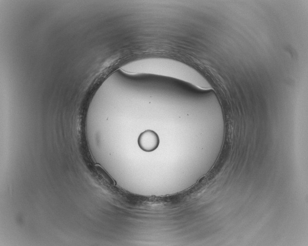 X0000115050260200911161554