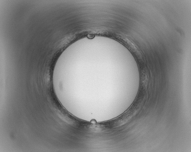 X0000115050261200911161554