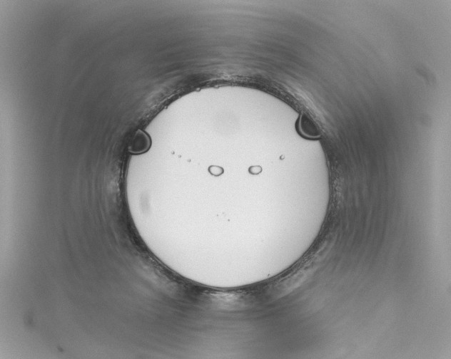 X0000115050265200911161554