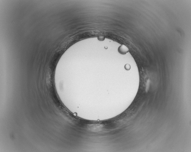 X0000115050266200911161554