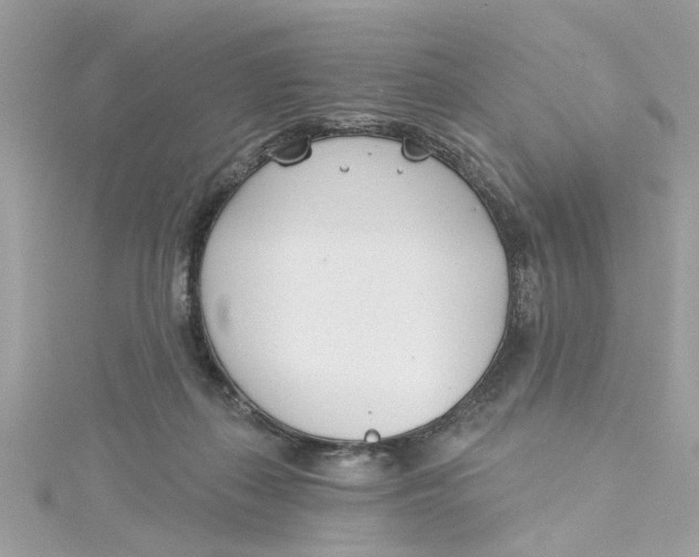 X0000115050267200911161554