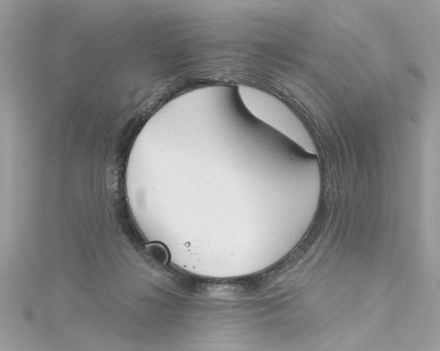 X0000115050268200911161554