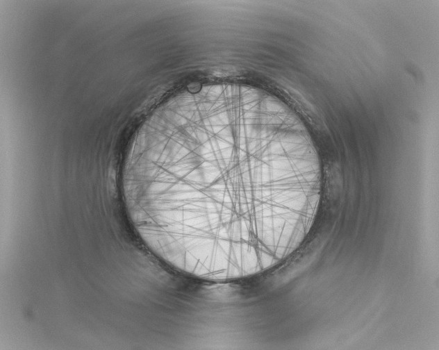 X0000115050269200911161554