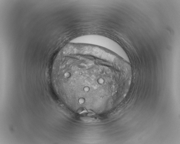 X0000115050270200911161554