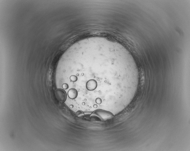 X0000115050275200911161554