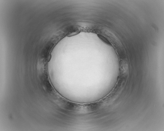 X0000115050276200911161554