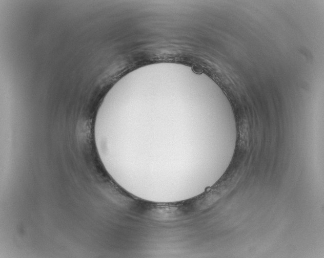 X0000115050278200911161554