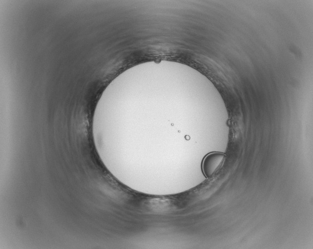 X0000115050279200911161554