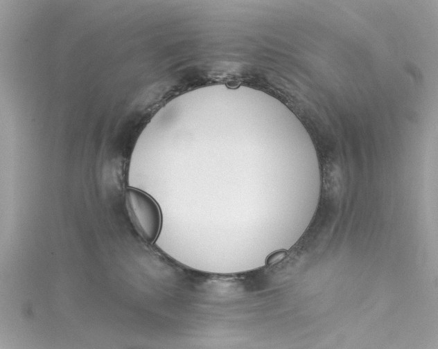 X0000115050280200911161554