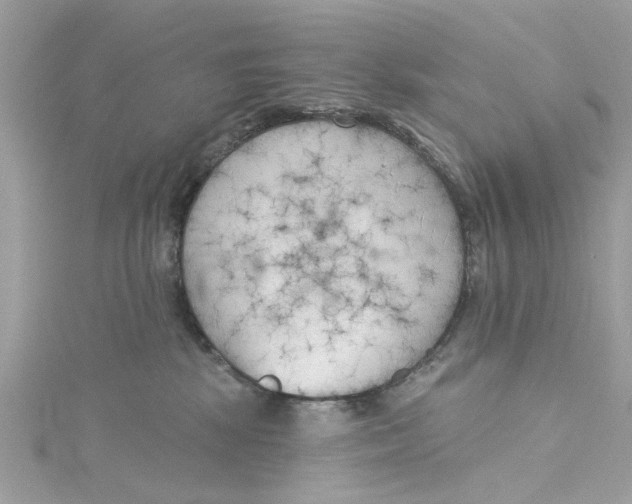 X0000115050281200911161554