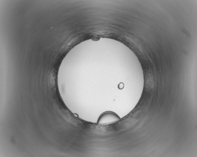 X0000115050282200911161554