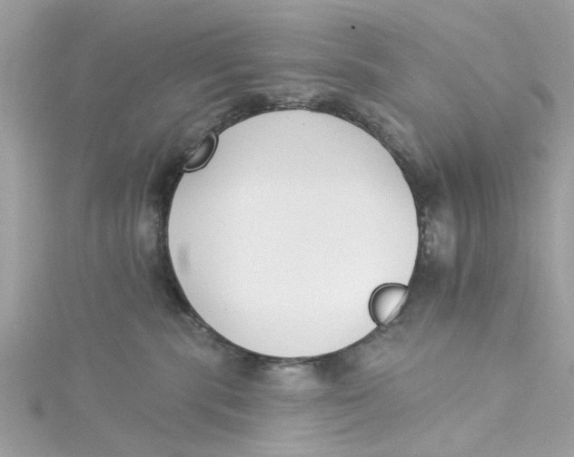 X0000115050283200911161554