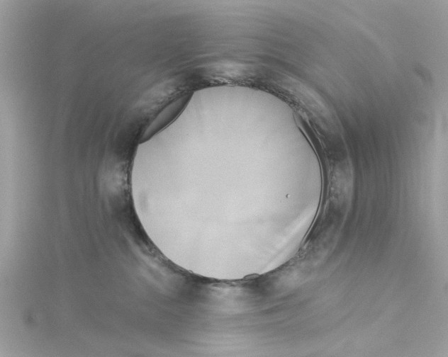 X0000115050284200911161554