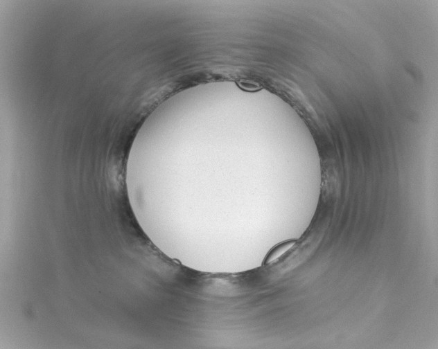 X0000115050285200911161554