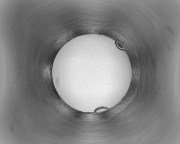 X0000115050286200911161554