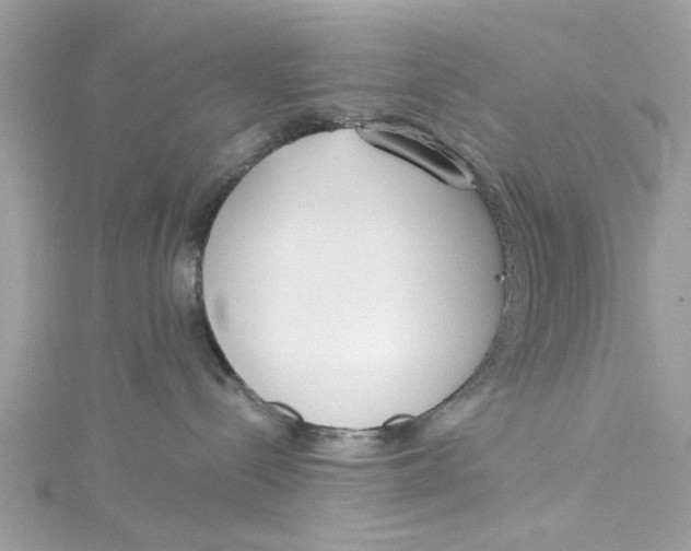 X0000115050288200911161554