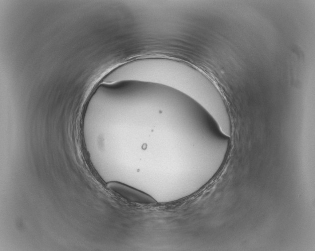 X0000115050289200911161553