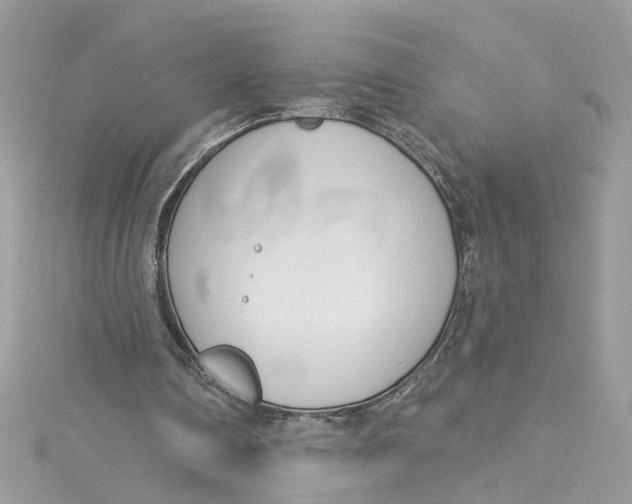 X0000115050290200911161553