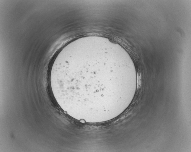 X0000115050291200911161553