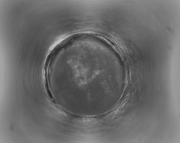 X0000115050292200911161553