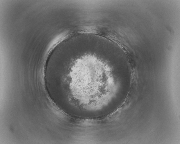 X0000115050293200911161553