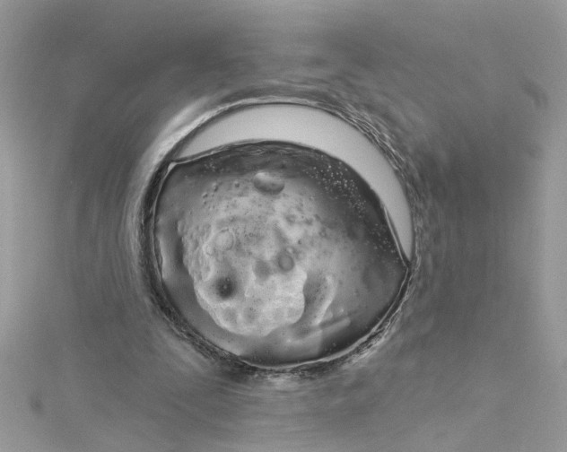 X0000115050295200911161553