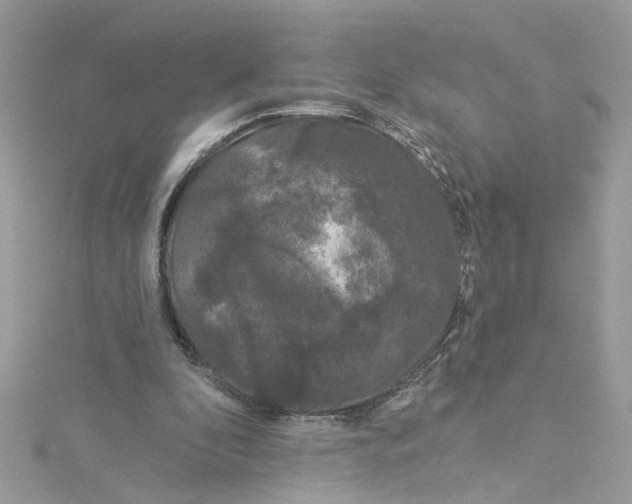 X0000115050296200911161553