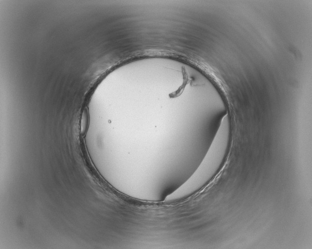 X0000115050297200911161553