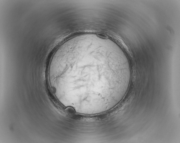 X0000115050299200911161553