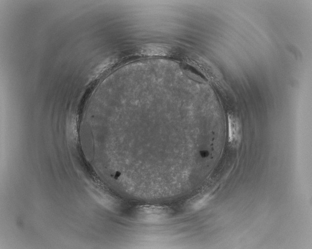 X0000115050300200911161553