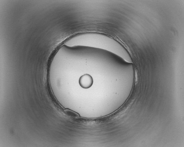 X0000115050301200911161553