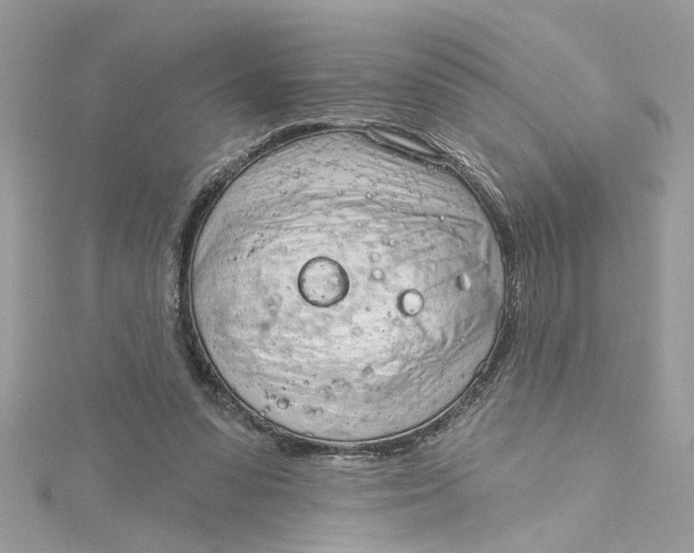 X0000115050303200911161553