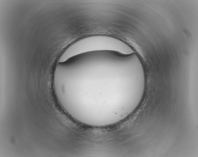 X0000115050305200911161553